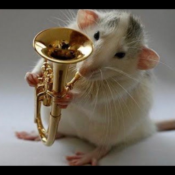 Meet your Posher, Matthew - Picture 1 of 1